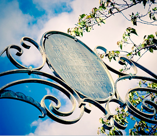 About our school and our direction