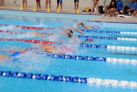 Swim 7